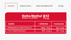 Delta Methyl B12 Plus 128 Sprey Metilkobalamin 20 ml