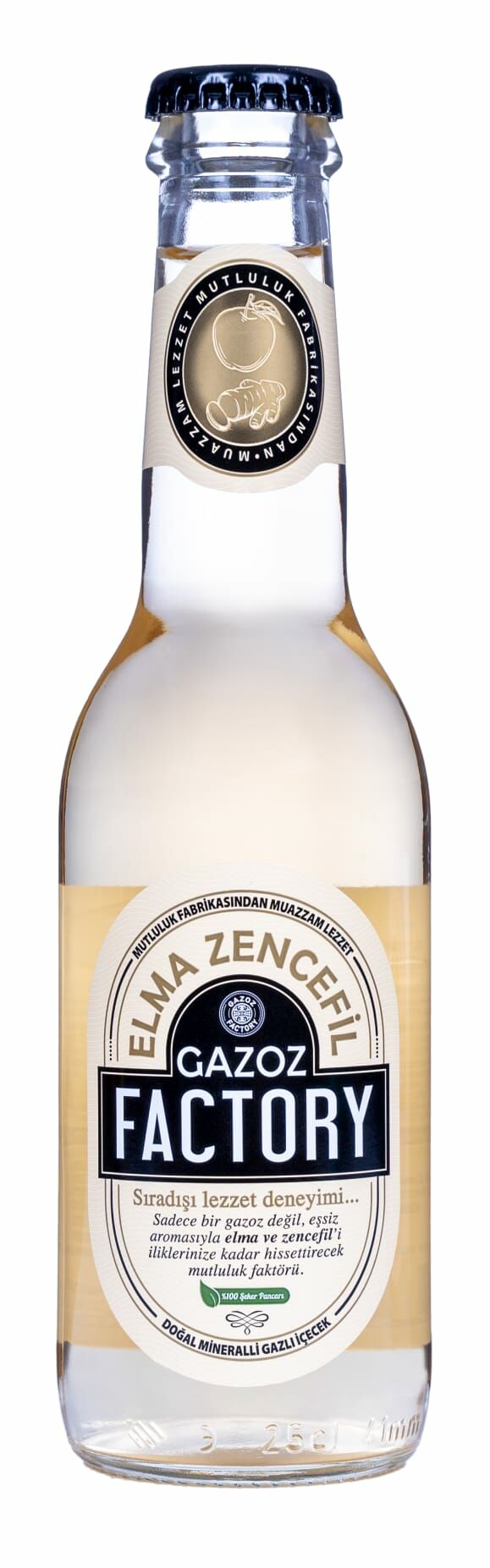 Gazoz Factory Elma Zencefil 250 ml