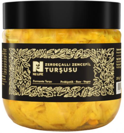 N2 Life Zerdeçallı Zencefil Turşusu 200 g  + Jel Buz Aküsü
